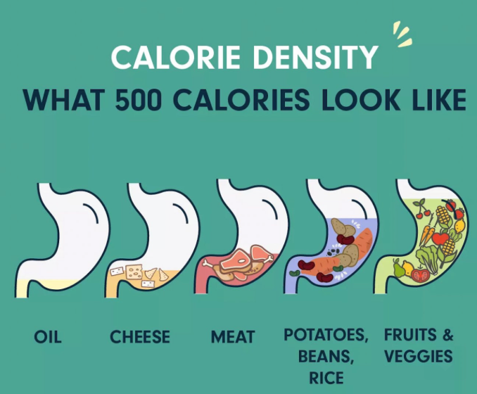 Why Understanding Food Volume is KEY On a Fitness Journey! – DLDNation