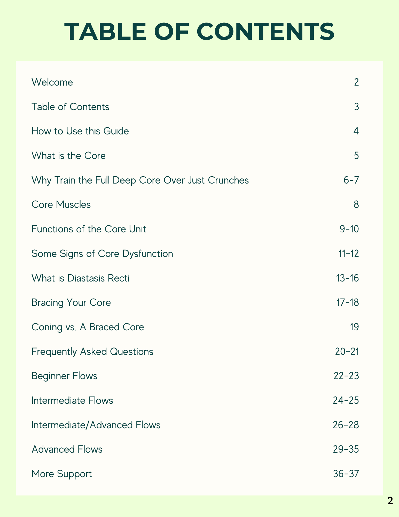 Deep Core Guide – DLDNation