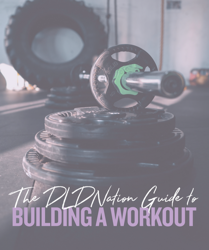 DLDNation Guide To Building A Workout